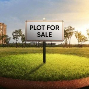 Plots