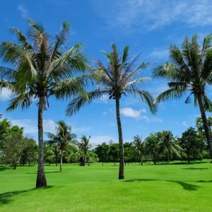 FARM LAND